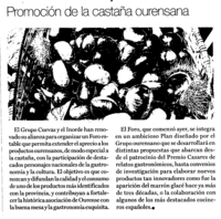 2012_06_02_foro_castineiro